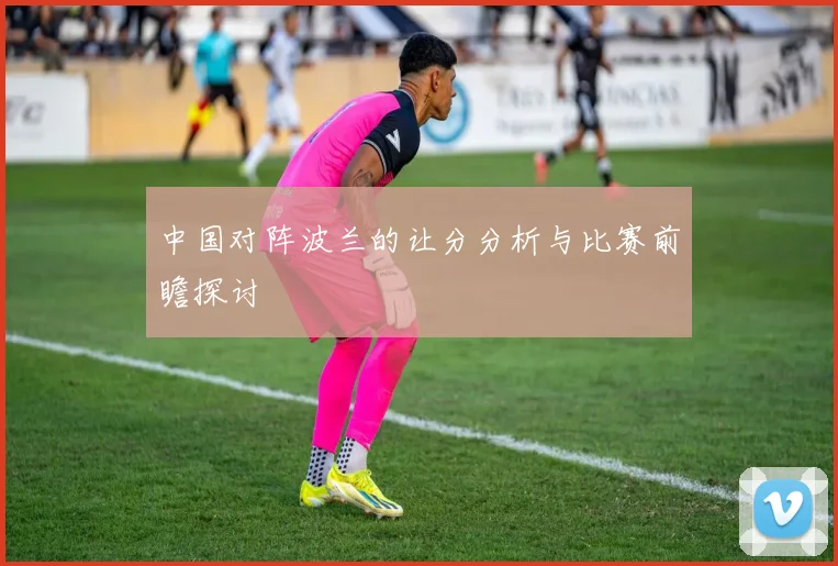 中国对阵波兰的让分分析与比赛前瞻探讨