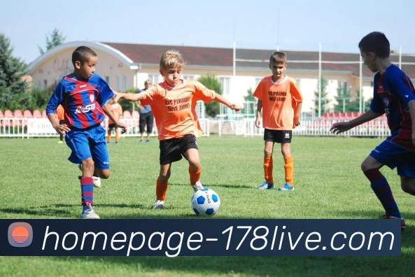 178直播服务体系